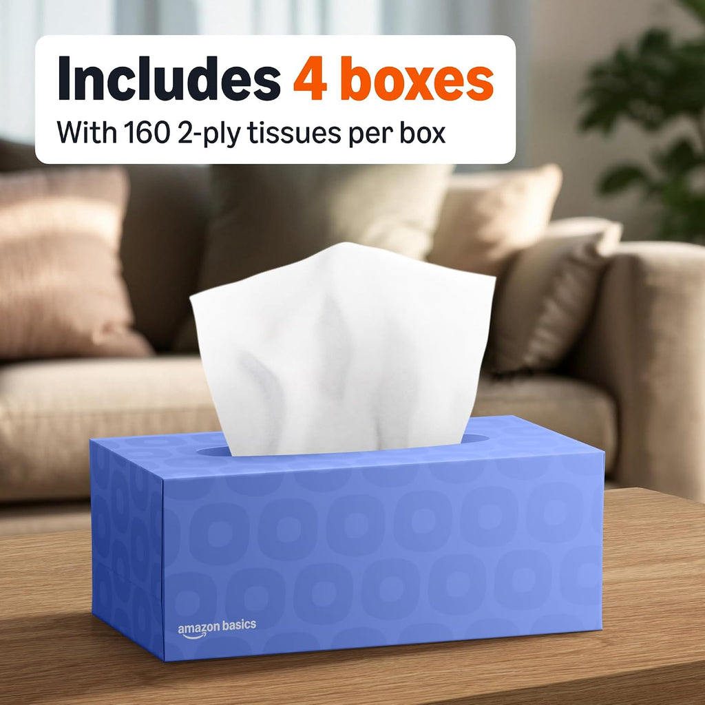 Amazon Basics Pañuelos faciales, 2 capas, 160 pañuelos por caja, 4 cajas (640 en total) (anteriormente Solimo)