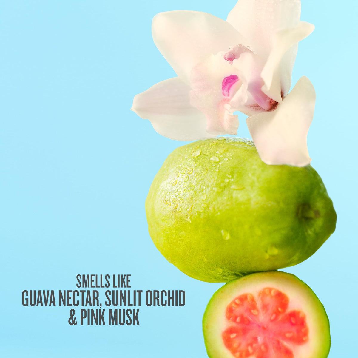 Sol de Janeiro - Bruma de perfume para cabello y cuerpo | Long Lasting Body Spray for Women