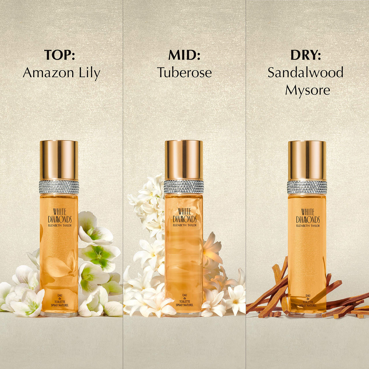 Elizabeth Taylor White Diamonds Perfume para mujer, fragancia floral de larga duración, Eau de Toilette EDT en aerosol, regalo para ella, 3.3 fl oz | Eau de toilette chypre floral para mujer. Perfume con notas de lirio, neroli, ámbar cálido y sándalo.